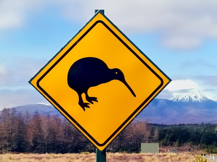 新西兰财政部：飓风后展?的重建活动可能导致纽储行在更长时间内维持较高利率